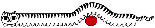 gato